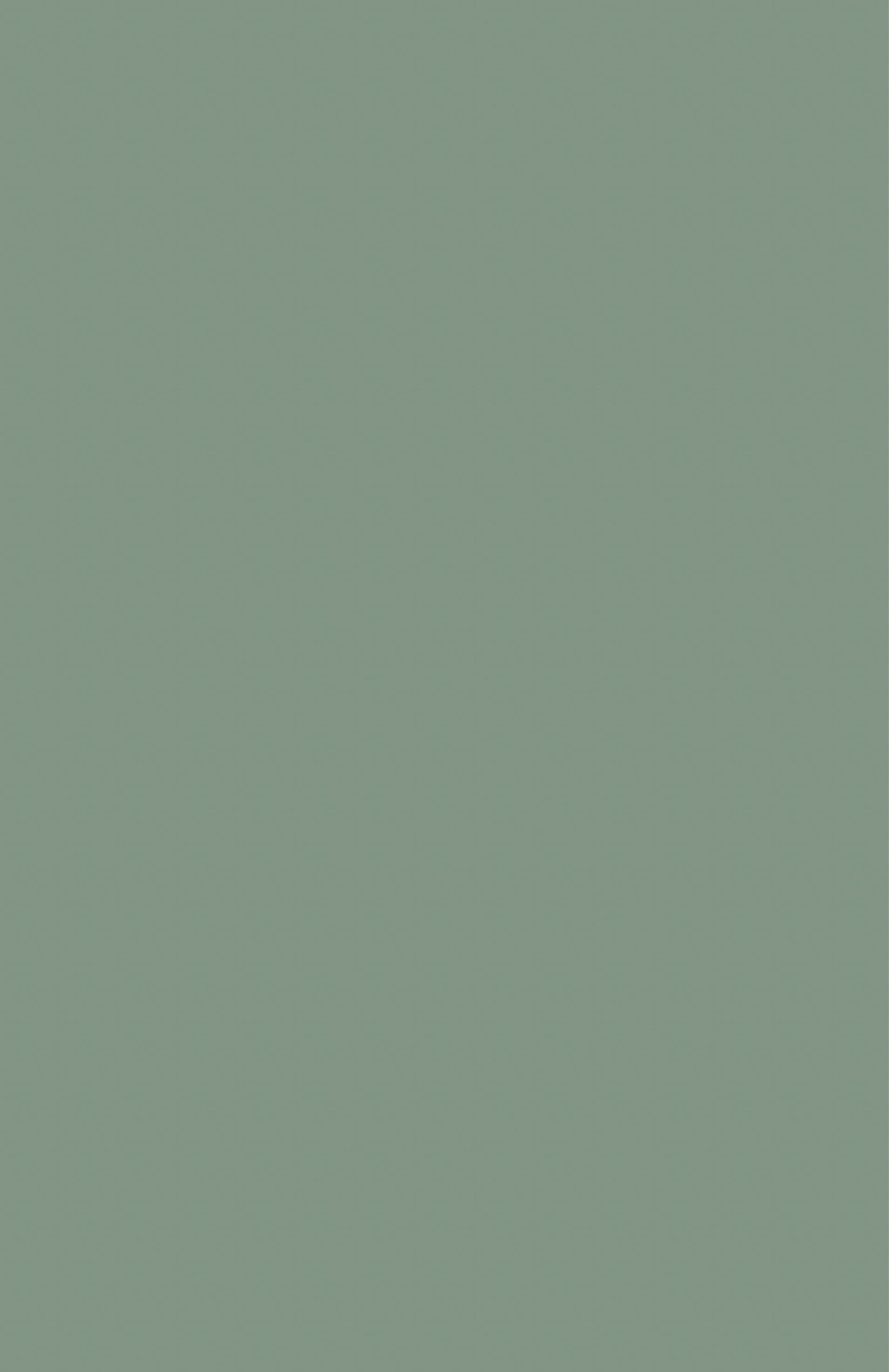 TH 069 SA - Sea Salt New.jpg